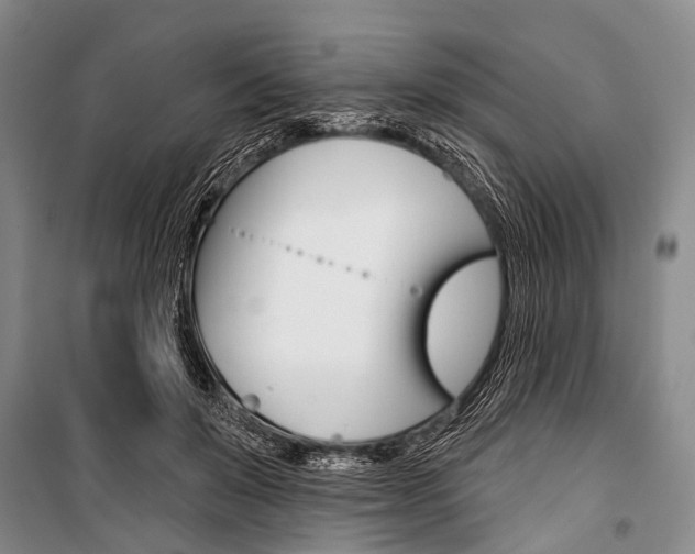 X0000101210503200806270857