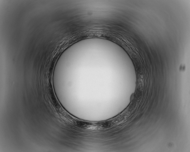 X0000101210504200806270857