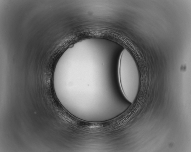 X0000101210505200806270857