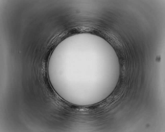 X0000101210506200806270857