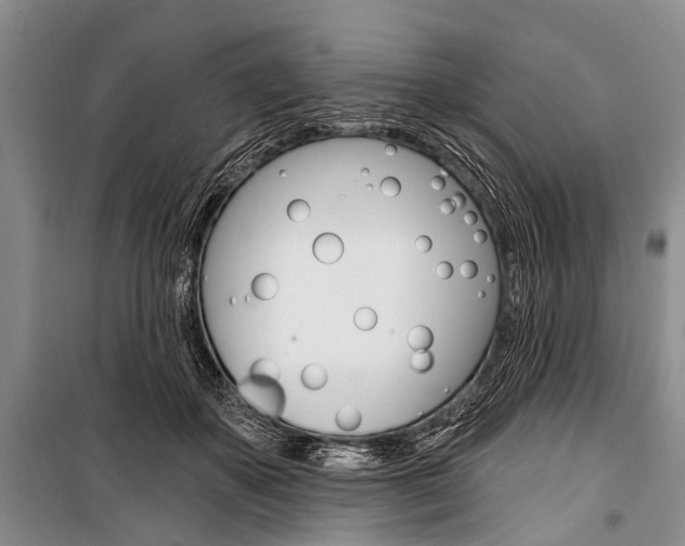 X0000101210507200806270857