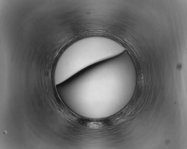 X0000101210508200806270857