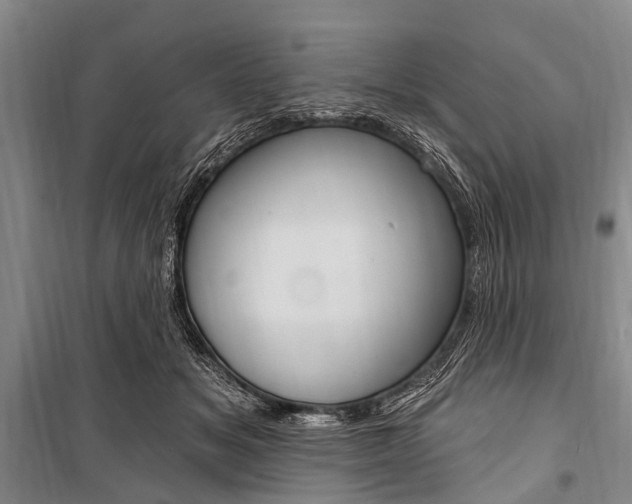 X0000101210509200806270857