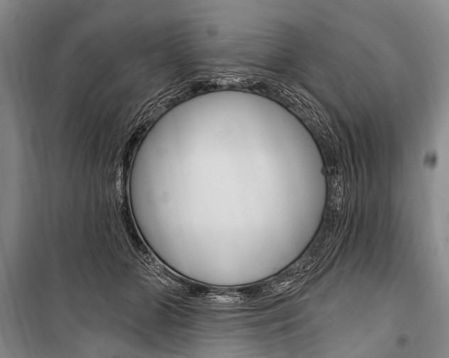 X0000101210510200806270857