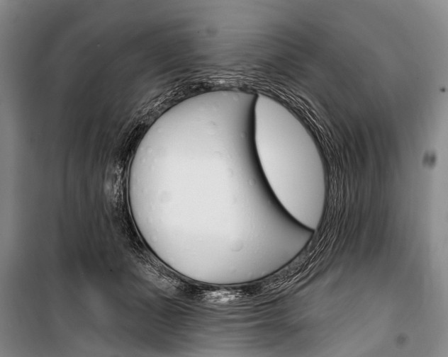 X0000101210511200806270857