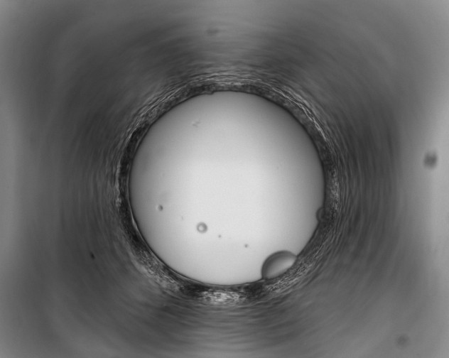 X0000101210512200806270857