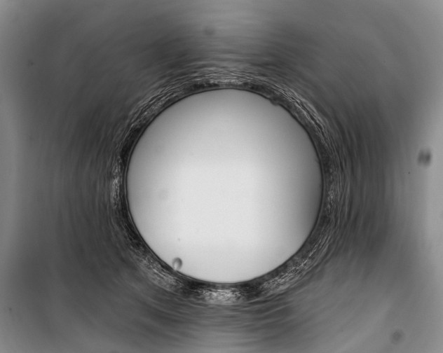 X0000101210513200806270857