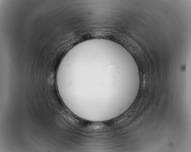 X0000101210514200806270857