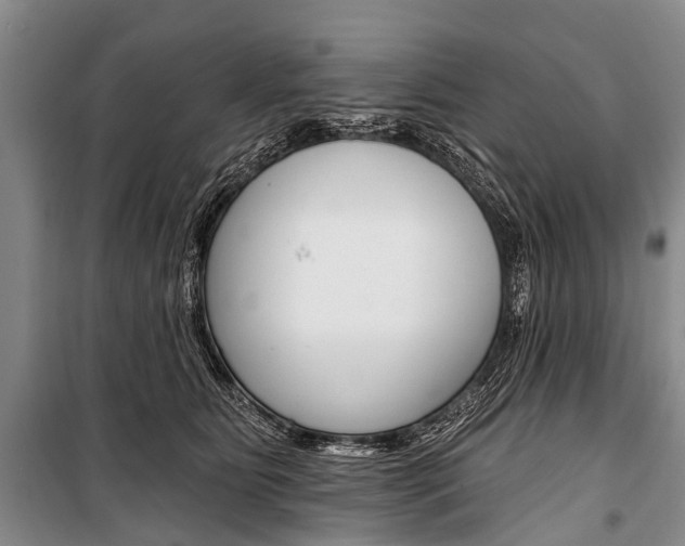 X0000101210515200806270857