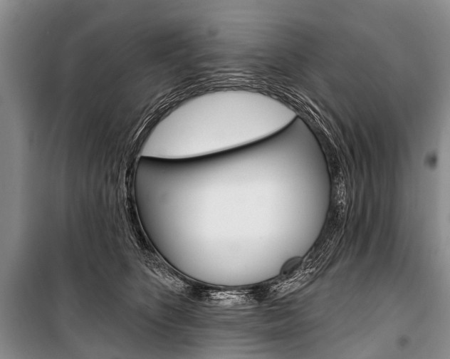 X0000101210516200806270857