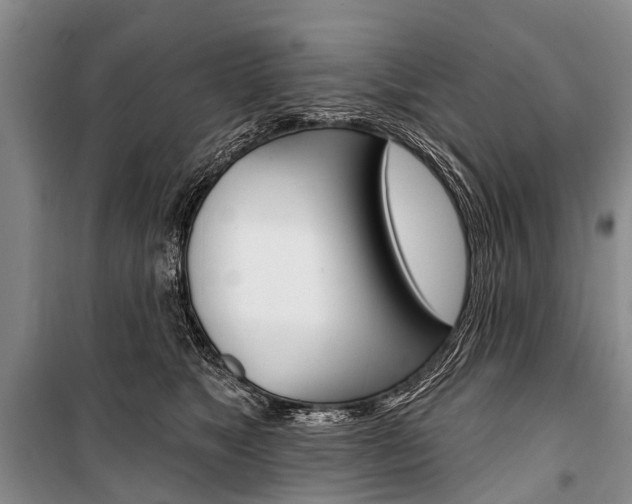X0000101210517200806270857