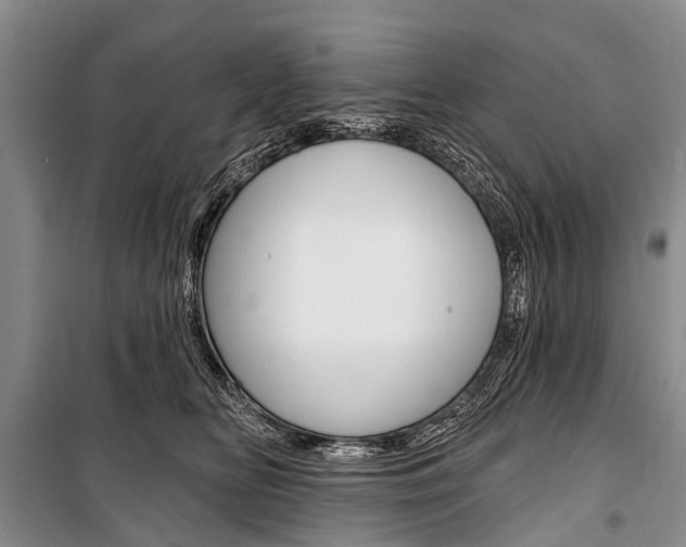 X0000101210518200806270857