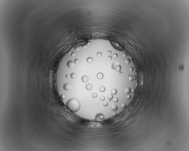 X0000101210519200806270857