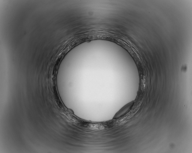 X0000101210520200806270857