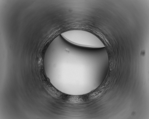 X0000101210521200806270857