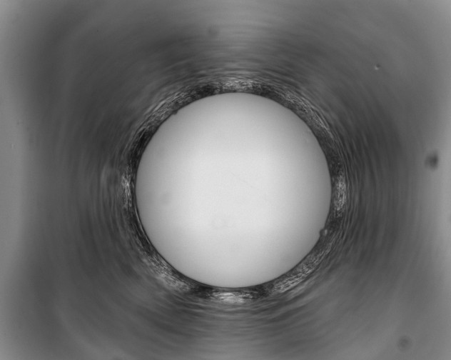 X0000101210522200806270857