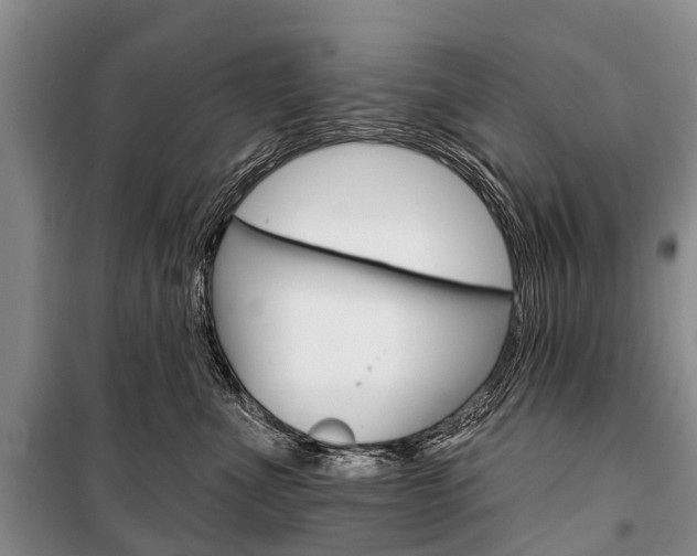 X0000101210523200806270857
