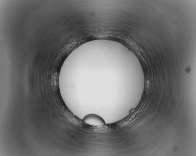 X0000101210525200806270857