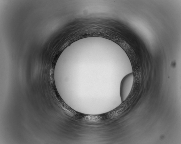 X0000101210526200806270857