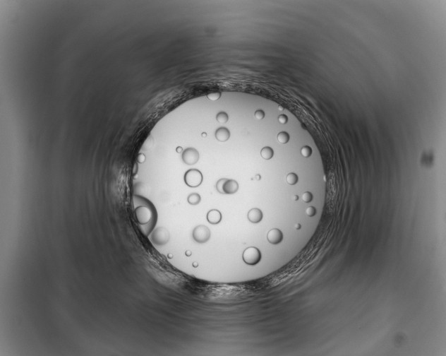 X0000101210527200806270857