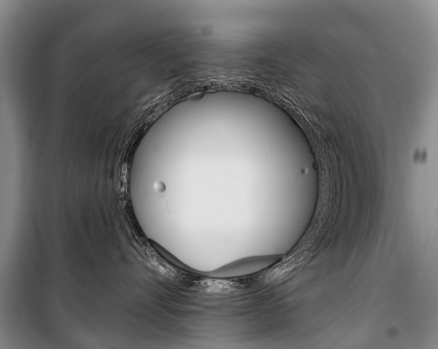 X0000101210528200806270857