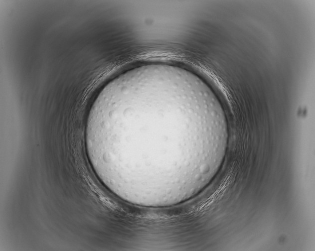 X0000101210529200806270856