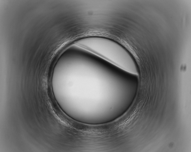 X0000101210530200806270856
