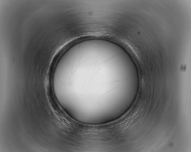 X0000101210532200806270856