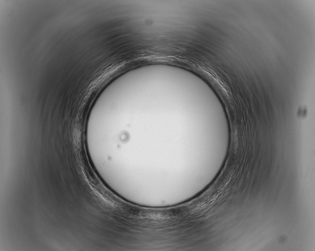 X0000101210533200806270856