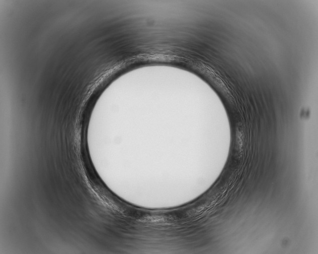 X0000101210534200806270856