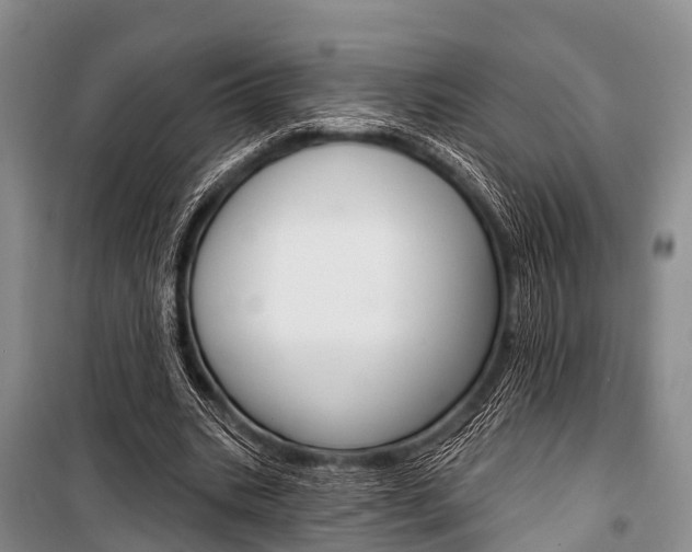 X0000101210535200806270856
