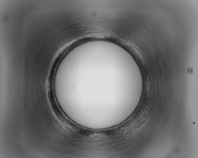 X0000101210536200806270856