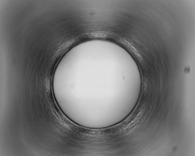 X0000101210537200806270856