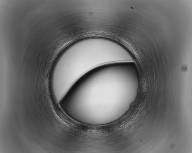X0000101210538200806270856