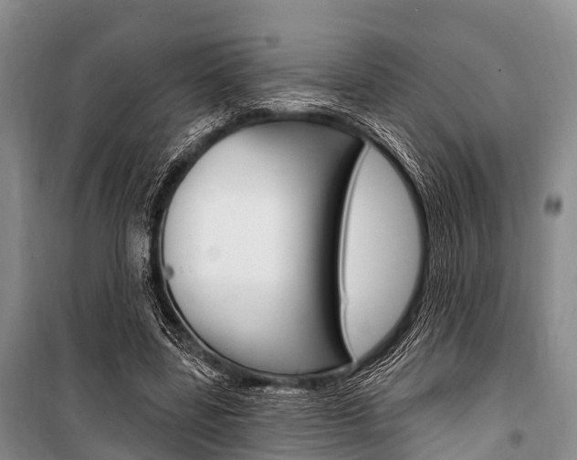 X0000101210539200806270856