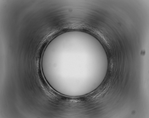 X0000101210542200806270856