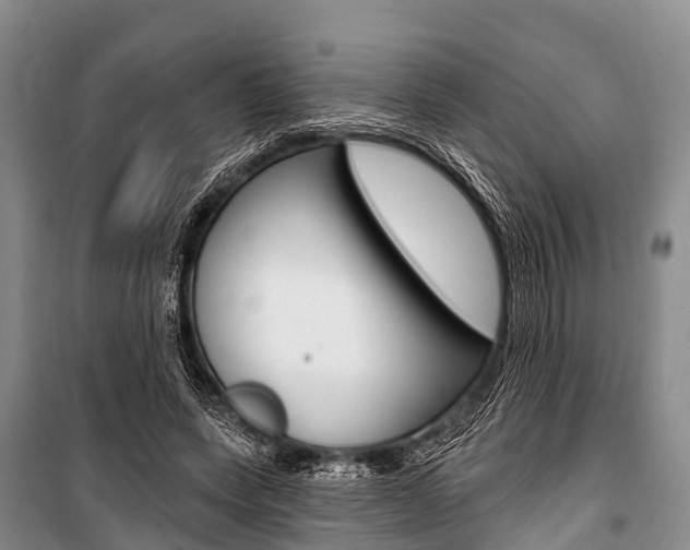 X0000101210543200806270856