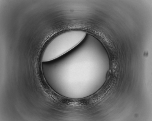 X0000101210544200806270856