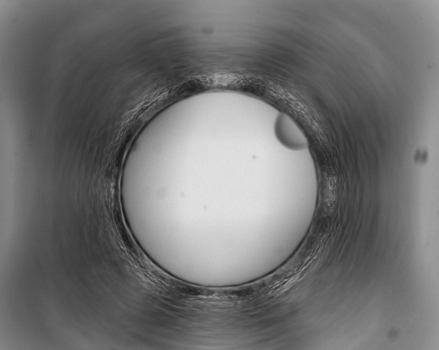 X0000101210545200806270856