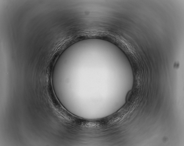 X0000101210546200806270856