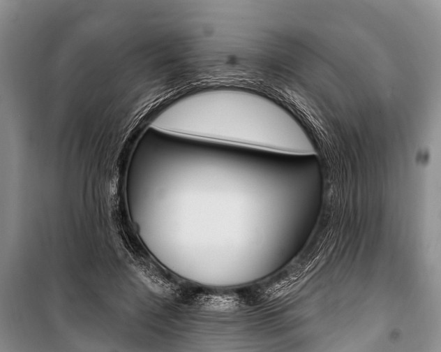 X0000101210548200806270856