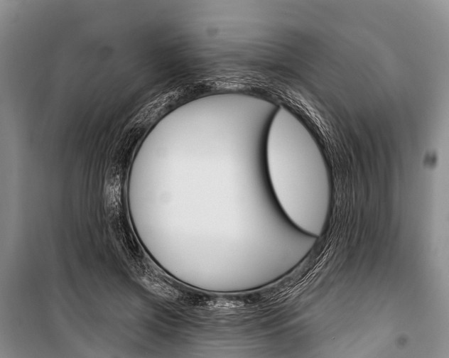 X0000101210549200806270856