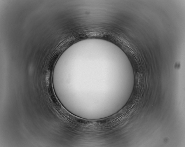 X0000101210550200806270856