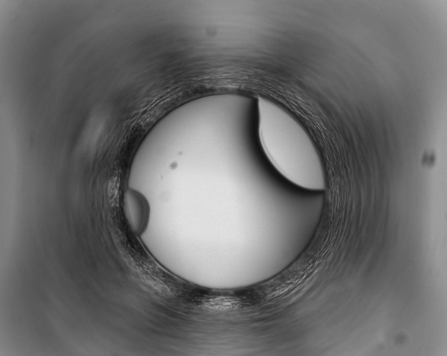 X0000101210551200806270856