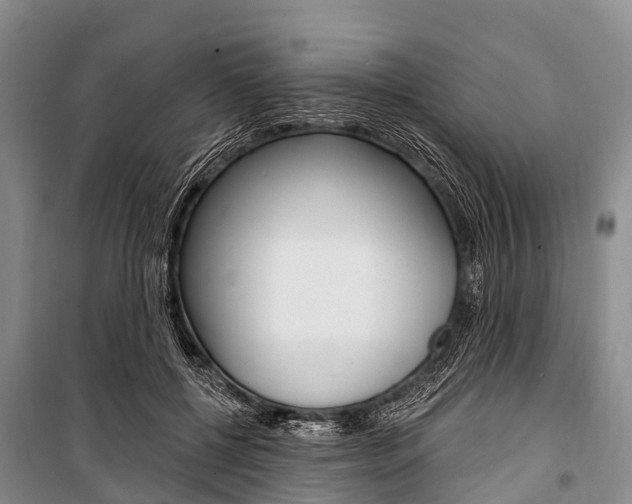 X0000101210552200806270856
