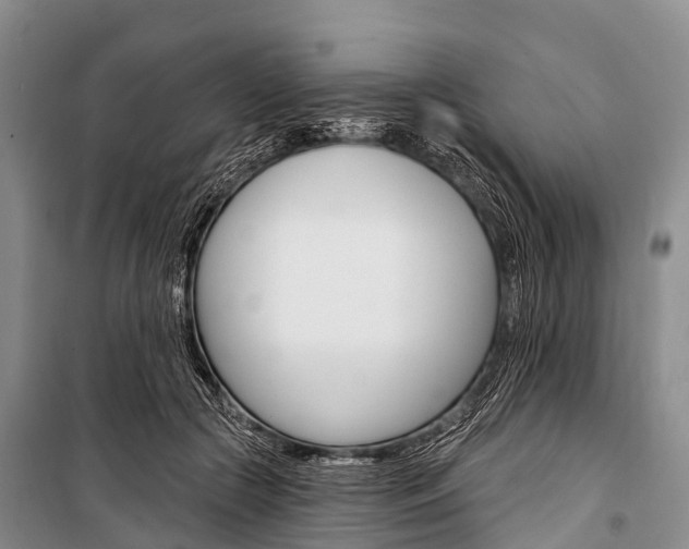 X0000101210553200806270856