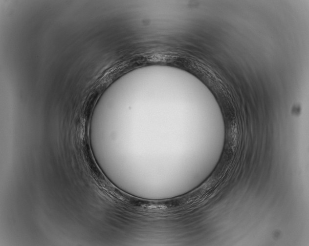 X0000101210554200806270856
