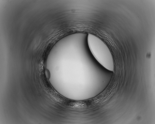 X0000101210555200806270856