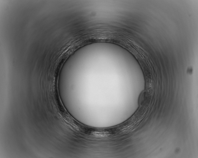 X0000101210556200806270856