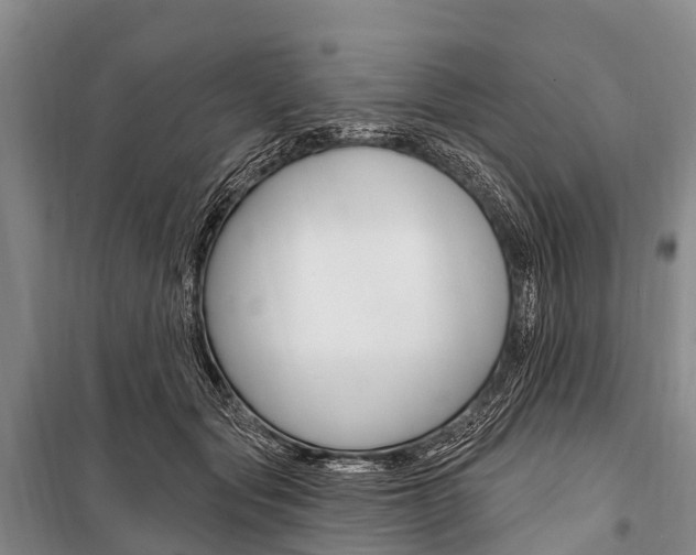 X0000101210557200806270856